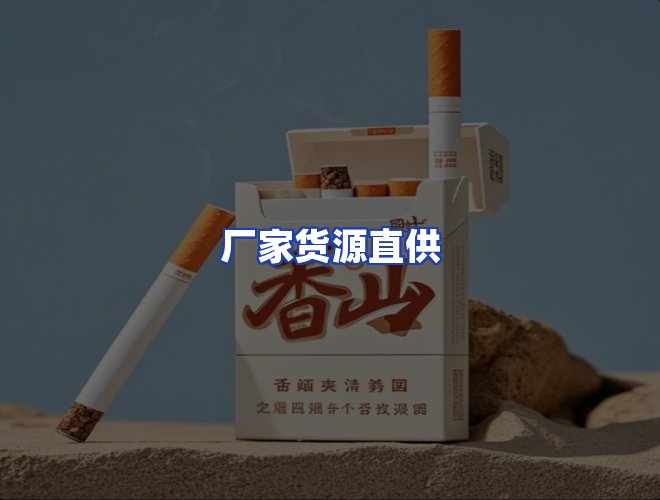 专业团队